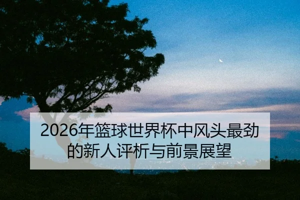 nian-lan-qiu-shi-jie-bei-zhong-feng-tou-zui-jin-de-xin-ren-ping-xi-yu-qian-jing-zhan-wang-2-108.jpg