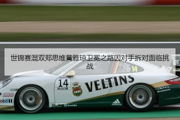 shi-jin-sai-hun-shuang-zheng-si-wei-huang-ya-qiong-wei-mian-zhi-lu-yin-dui-shou-chai-dui-mian-lin-tiao-zhan-2-254.jpg